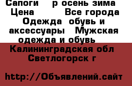 Сапоги 35 р.осень-зима  › Цена ­ 700 - Все города Одежда, обувь и аксессуары » Мужская одежда и обувь   . Калининградская обл.,Светлогорск г.